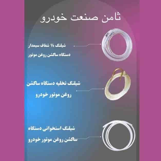 1741673576603.webp